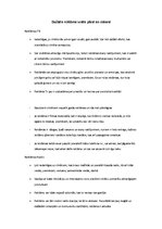 Konspekts 'Reklāmu plusi un mīnusi', 1.