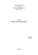 Paraugs 'Piepūļu aprēķins kopņu stieņos', 1.