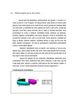 Konspekts 'Latvijas darbaspēka aizplūšana uz Īriju', 2.