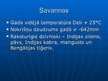 Prezentācija 'Āzijas dabas zonas', 21.