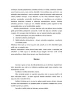 Konspekts 'Humānas savstarpējās attieksmes, attiecības un tuvības teorija, saruna', 4.