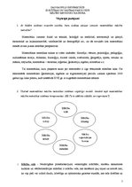 Paraugs 'Matemātikas mācību metodika 1.-4.klasei', 2.