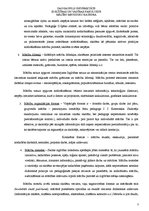 Paraugs 'Matemātikas mācību metodika 1.-4.klasei', 3.