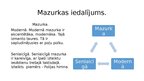 Prezentācija 'Mazurka', 5.