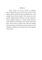 Eseja 'Ziemassvētku kaujas', 5.