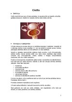 Konspekts 'Internas slimības apraksts “Cistīts”', 2.