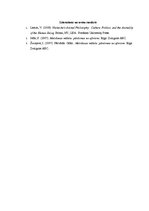 Eseja 'Kā Nīčes darbos ir izprasti meli un patiesība?', 3.