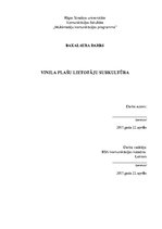 Diplomdarbs 'Vinila plašu lietotāju subkultūra', 1.