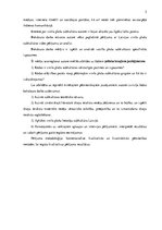 Diplomdarbs 'Vinila plašu lietotāju subkultūra', 5.