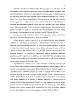 Diplomdarbs 'Vinila plašu lietotāju subkultūra', 8.