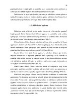 Diplomdarbs 'Vinila plašu lietotāju subkultūra', 10.