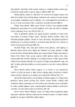 Diplomdarbs 'Vinila plašu lietotāju subkultūra', 13.