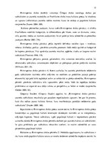 Diplomdarbs 'Vinila plašu lietotāju subkultūra', 15.