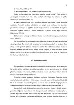 Diplomdarbs 'Vinila plašu lietotāju subkultūra', 19.