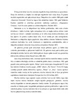 Diplomdarbs 'Vinila plašu lietotāju subkultūra', 27.