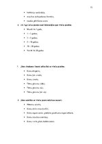 Diplomdarbs 'Vinila plašu lietotāju subkultūra', 72.