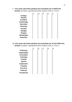 Diplomdarbs 'Vinila plašu lietotāju subkultūra', 73.