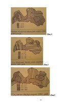 Referāts 'Radioaktīvais piesārņojums Latvijā, tā radītās sekas, vides aizsardzības iespēja', 13.