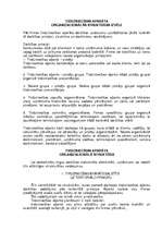 Referāts 'Tirdzniecības aparāta organizacionālās struktūras izvēle', 2.