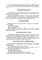 Referāts 'Tirdzniecības aparāta organizacionālās struktūras izvēle', 3.