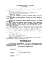 Referāts 'Tirdzniecības aparāta organizacionālās struktūras izvēle', 4.