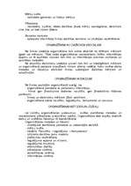 Referāts 'Tirdzniecības aparāta organizacionālās struktūras izvēle', 6.