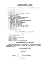 Referāts 'Tirdzniecības aparāta organizacionālās struktūras izvēle', 7.