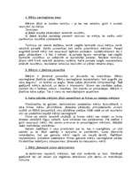 Referāts 'Tirdzniecības aparāta organizacionālās struktūras izvēle', 11.