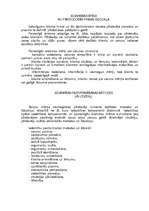 Referāts 'Tirdzniecības aparāta organizacionālās struktūras izvēle', 13.