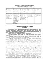 Referāts 'Tirdzniecības aparāta organizacionālās struktūras izvēle', 15.