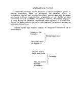 Referāts 'Tirdzniecības aparāta organizacionālās struktūras izvēle', 17.