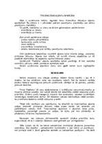 Referāts 'Tirdzniecības aparāta organizacionālās struktūras izvēle', 20.