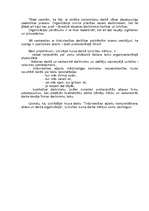 Referāts 'Tirdzniecības aparāta organizacionālās struktūras izvēle', 22.