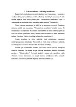 Referāts 'Sludinājums un darba piedāvājums teorija', 5.