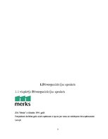 Prakses atskaite 'Prakses atskaite SIA "Merks"', 3.