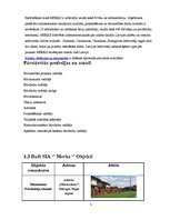 Prakses atskaite 'Prakses atskaite SIA "Merks"', 5.