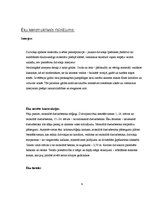 Prakses atskaite 'Prakses atskaite SIA "Merks"', 9.