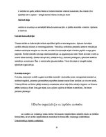 Prakses atskaite 'Prakses atskaite SIA "Merks"', 10.