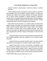 Referāts 'Autortiesību aizsardzības tiesiskie aspekti', 5.