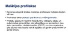 Prezentācija 'Malārija', 14.