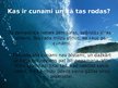 Prezentācija 'Cunami', 2.