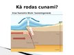 Prezentācija 'Cunami', 3.