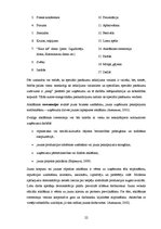 Diplomdarbs 'Speciālo pasākumu izmantošana SIA "Very Berry" popularizēšanai Latvijas tirgū', 22.