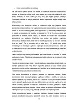 Diplomdarbs 'Speciālo pasākumu izmantošana SIA "Very Berry" popularizēšanai Latvijas tirgū', 65.