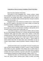 Eseja 'Veiksmīgas pedagoģiskās darbības pamatvērtības', 2.