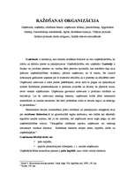 Konspekts 'Ražošanas organizācija', 1.