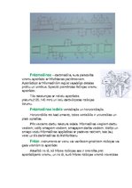 Konspekts 'Garenfrēzēšanas mašīnas, frēzmašīnas un frēzes', 4.