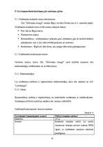 Biznesa plāns 'SIA "Dzīvnieku draugs"', 19.