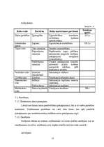 Biznesa plāns 'SIA "Dzīvnieku draugs"', 23.