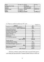 Biznesa plāns 'SIA "Dzīvnieku draugs"', 25.